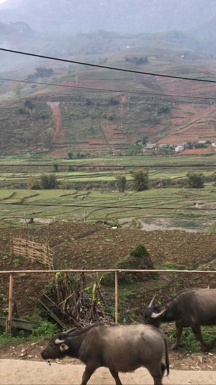 Phori'S House - Bamboo Forest Sapa Exterior foto