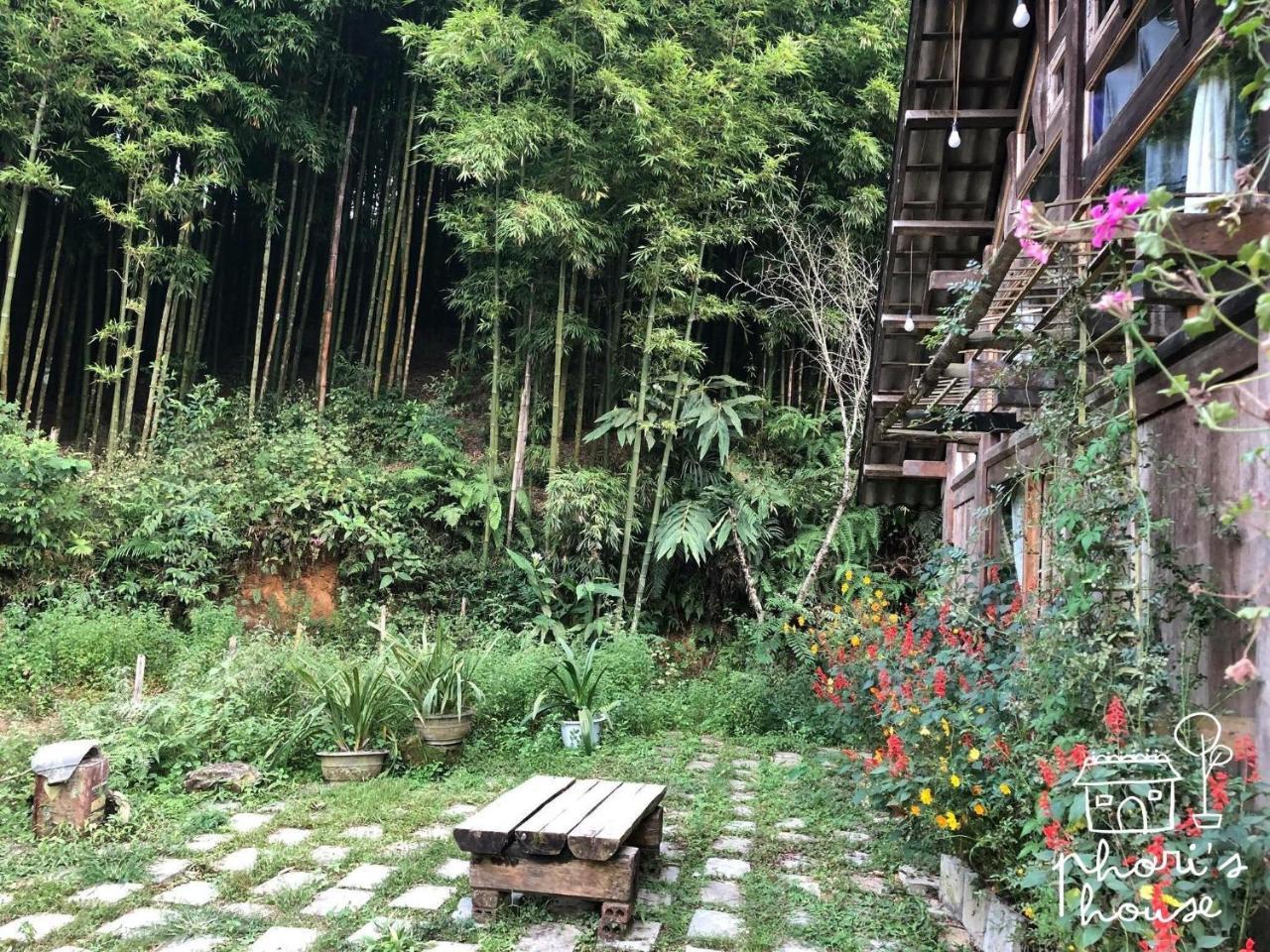 Phori'S House - Bamboo Forest Sapa Exterior foto